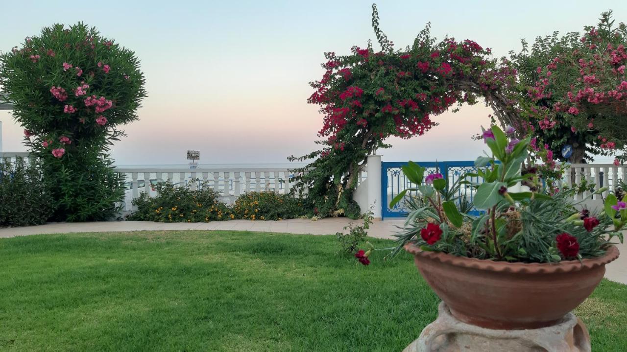 Antonios Apartments Stegna أرخانجلوس المظهر الخارجي الصورة