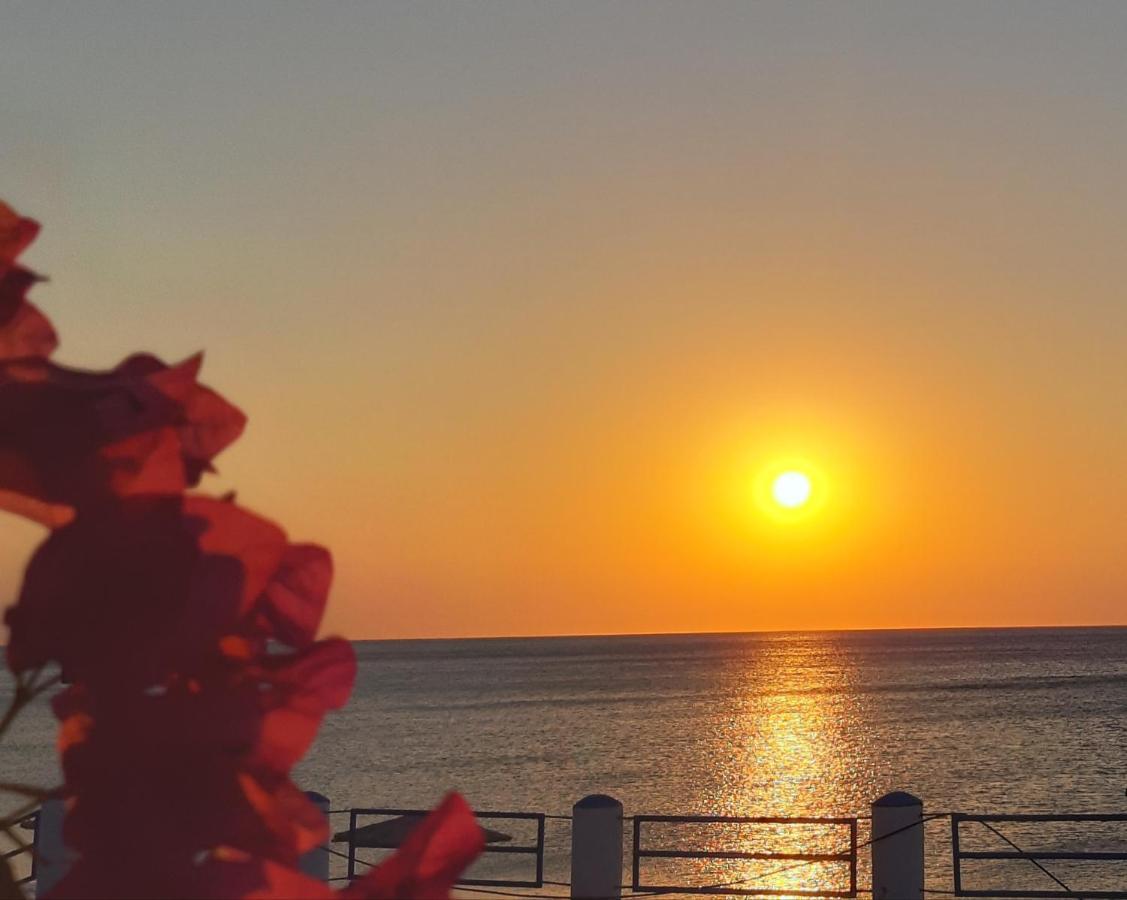 Antonios Apartments Stegna أرخانجلوس المظهر الخارجي الصورة