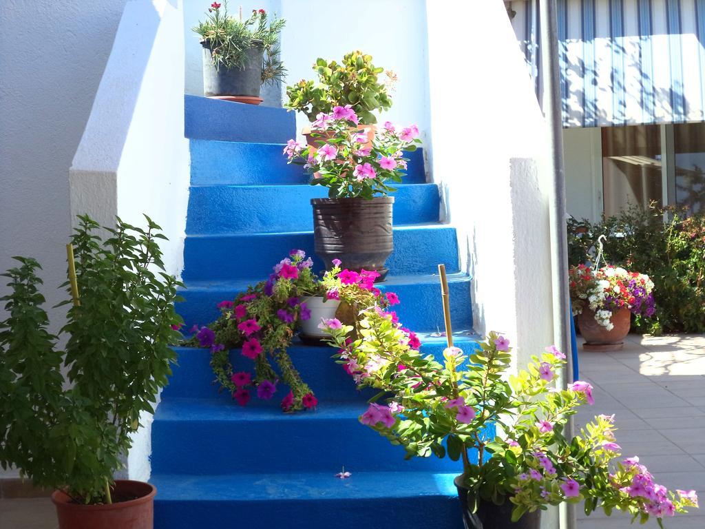 Antonios Apartments Stegna أرخانجلوس المظهر الخارجي الصورة