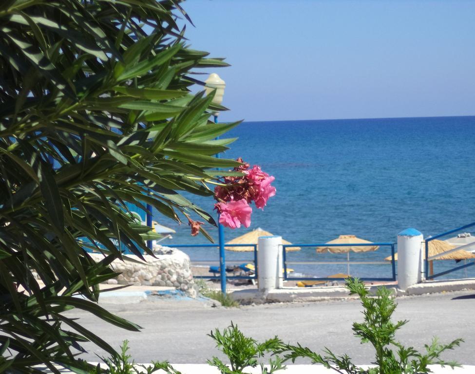 Antonios Apartments Stegna أرخانجلوس المظهر الخارجي الصورة