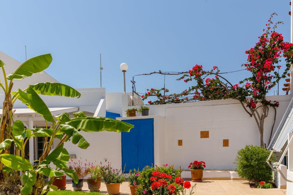 Antonios Apartments Stegna أرخانجلوس المظهر الخارجي الصورة