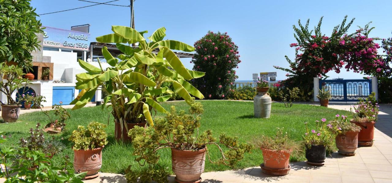 Antonios Apartments Stegna أرخانجلوس المظهر الخارجي الصورة